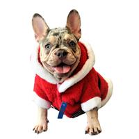 Amerikan Kumaş Şapkalı Noel Baba Taşlı Köpek Kıyafet L
